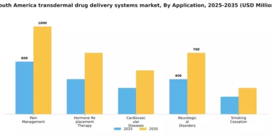 South America Transdermal Drug Delivery Systems Market Segment Image 0