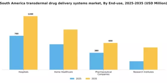 South America Transdermal Drug Delivery Systems Market Segment Image 1