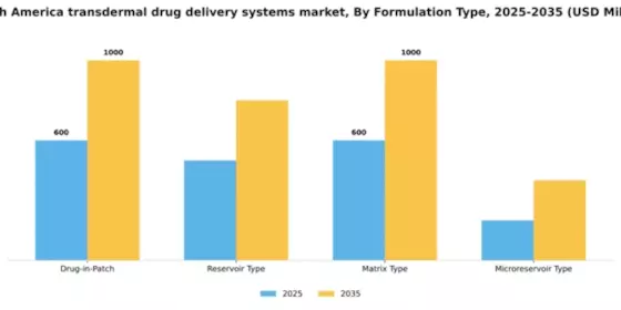 South America Transdermal Drug Delivery Systems Market Segment Image 2