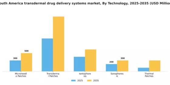 South America Transdermal Drug Delivery Systems Market Segment Image 3