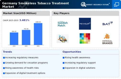 Germany Smokeless Tobacco Treatment Market Infographic