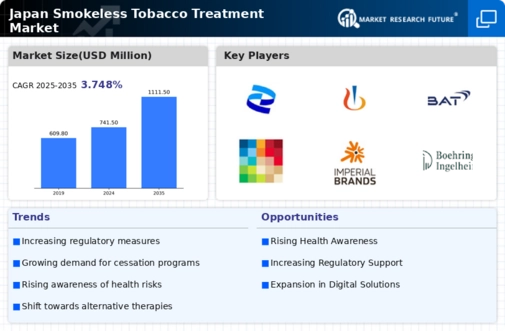 Japan Smokeless Tobacco Treatment Market Infographic