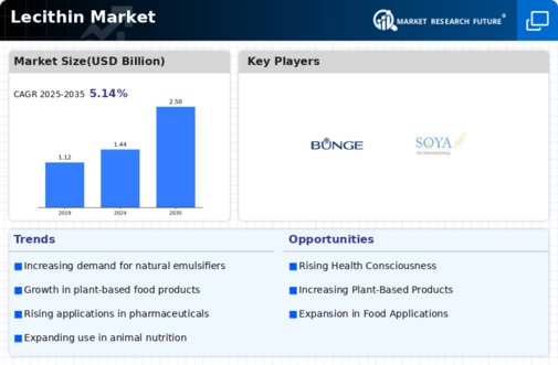 Lecithin Market Infographic