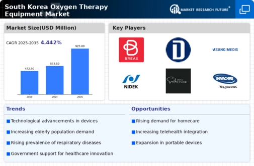 South Korea Oxygen Therapy Equipment Market Infographic