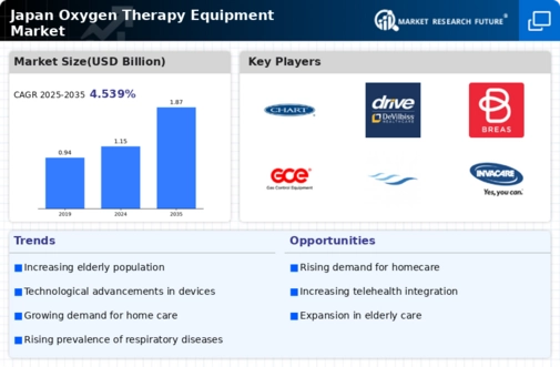 Japan Oxygen Therapy Equipment Market Infographic