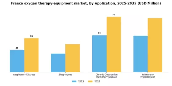 France Oxygen Therapy Equipment Market Segment Image 0