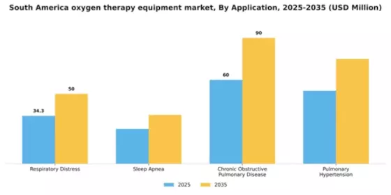 South America Oxygen Therapy Equipment Market Segment Image 0
