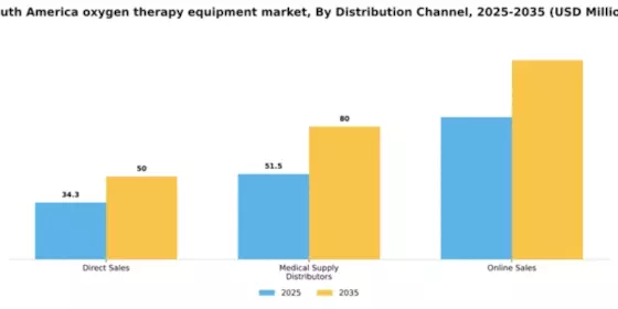 South America Oxygen Therapy Equipment Market Segment Image 1