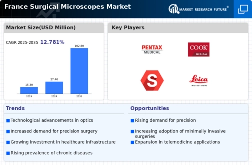 France Surgical Microscopes Market Infographic