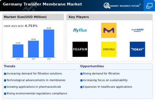 Germany Transfer Membrane Market Infographic