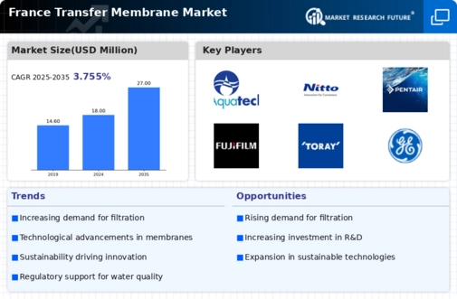 France Transfer Membrane Market Infographic