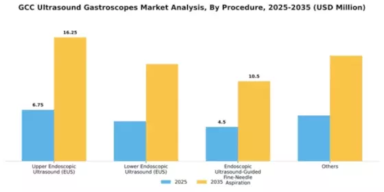 GCC Ultrasound Gastroscopes Market Segment Image 2