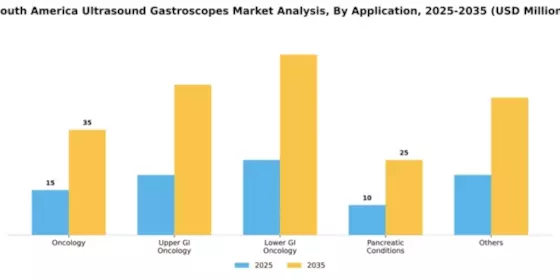 South America Ultrasound Gastroscopes Market Segment Image 0