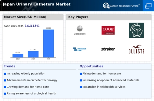 Japan Urinary Catheters Market Infographic