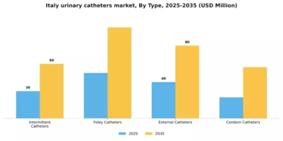 Italy Urinary Catheters Market Segment Image 3