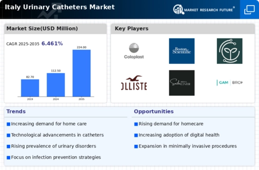 Italy Urinary Catheters Market Infographic