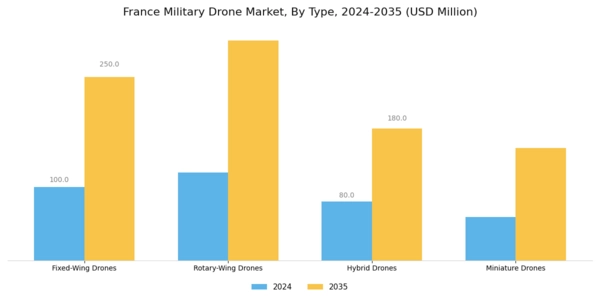 France Military Drone Market Segment Image 1