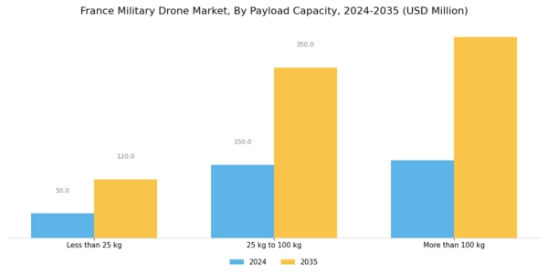 France Military Drone Market Segment Image 3