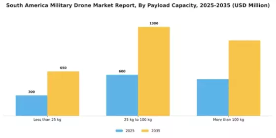 South America Military Drone Market Segment Image 2
