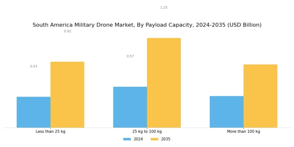 South America Military Drone Market Segment Image 3