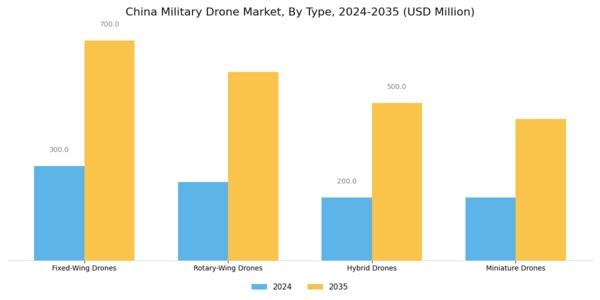China Military Drone Market Segment Image 1