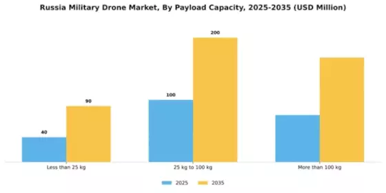 Russia Military Drone Market Segment Image 2