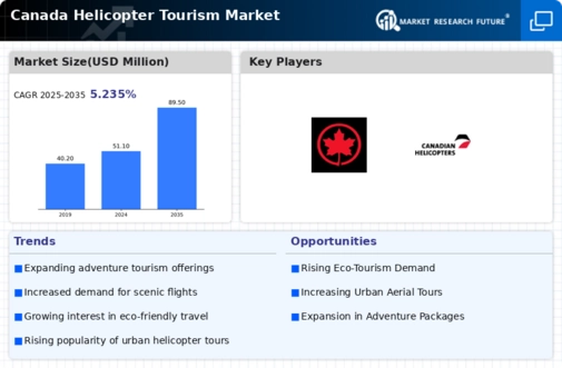 Canada Helicopter Tourism Market Infographic