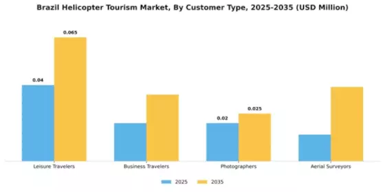 Brazil Helicopter Tourism Market Segment Image 0