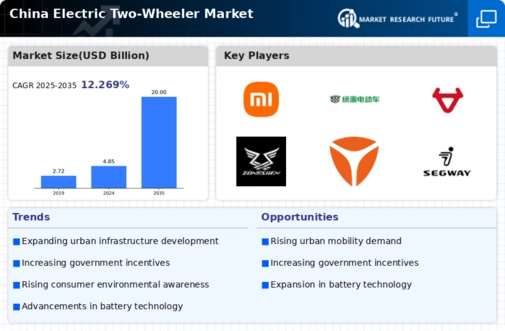 China Electric Two Wheeler Market Infographic