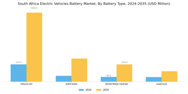 South Africa Electric Vehicles Battery Market Segment Image 0