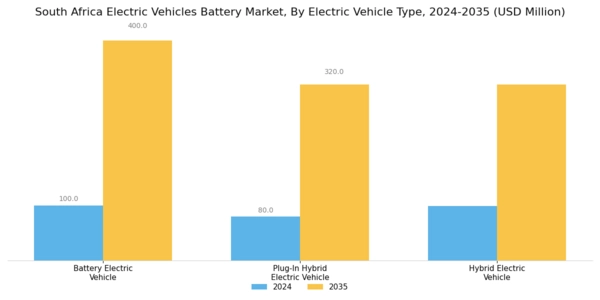 South Africa Electric Vehicles Battery Market Segment Image 1