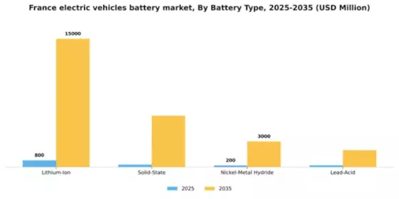 France Electric Vehicles Battery Market Segment Image 1