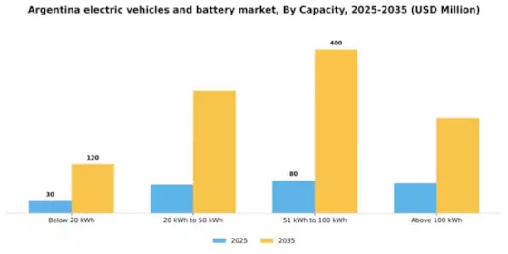 Argentina Electric Vehicles Battery Market Segment Image 2