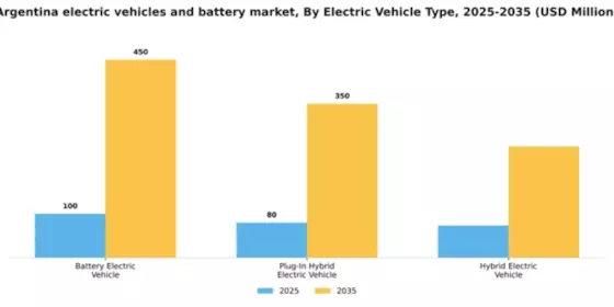 Argentina Electric Vehicles Battery Market Segment Image 3