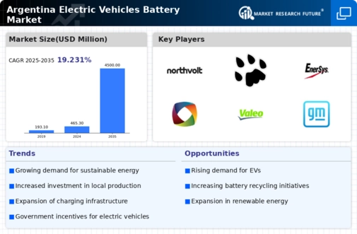 Argentina Electric Vehicles Battery Market Infographic