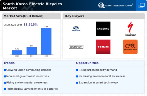 South Korea Electric Bicycles Market Infographic