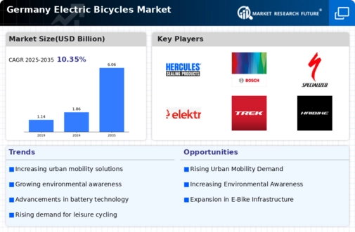 Germany Electric Bicycles Market Infographic
