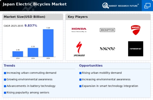Japan Electric Bicycles Market Infographic