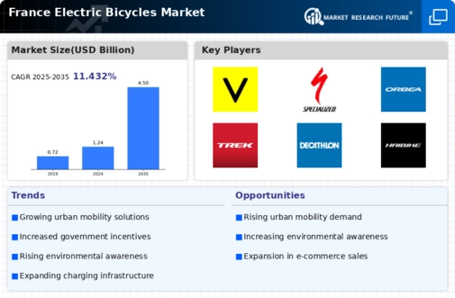 France Electric Bicycles Market Infographic