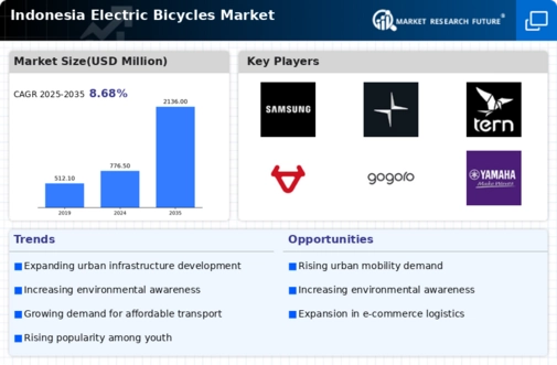 Indonesia Electric Bicycles Market Infographic