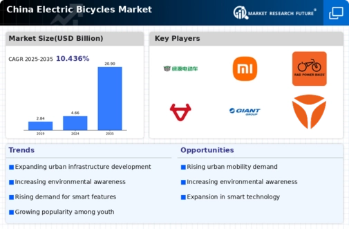 China Electric Bicycles Market Infographic