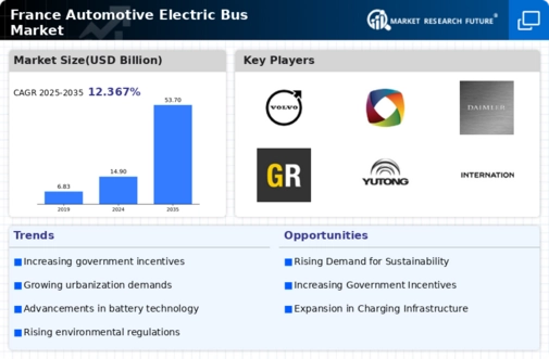 France Automotive Electric Bus Market Infographic