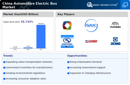 China Automotive Electric Bus Market Infographic