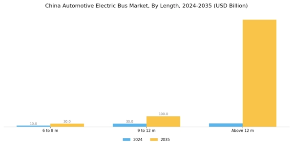 China Automotive Electric Bus Market Segment Image 2