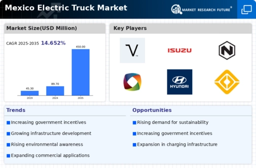 Mexico Electric Truck Market Infographic