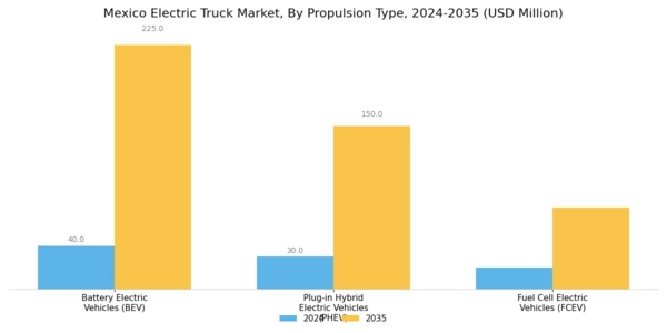 Mexico Electric Truck Market Segment Image 0