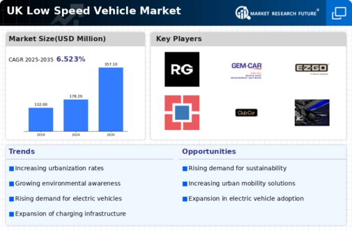UK Low Speed Vehicle Market Infographic