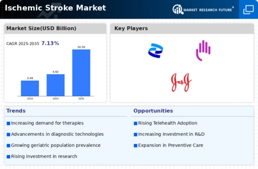 Ischemic Stroke Market Infographic
