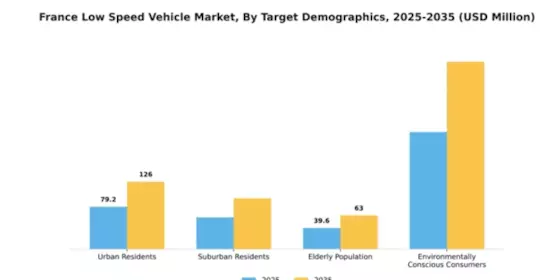 France Low Speed Vehicle Market Segment Image 2