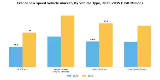 France Low Speed Vehicle Market Segment Image 4